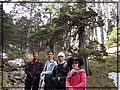 2012-03-06 09-11-06雪山之門.JPG